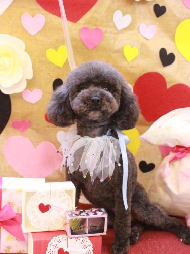 20230221ボーロくん